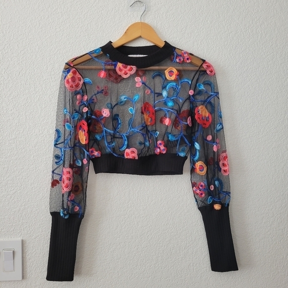 Dress the Population Cosmopolitan Embroidered Mesh Crop Top XS - Picture 5 of 9